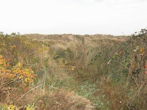 Sand Dunes- click for photo gallery